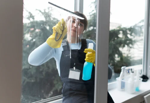 Nettoyage de vitres intérieures et extérieures à Saint-Romain-le-Puy